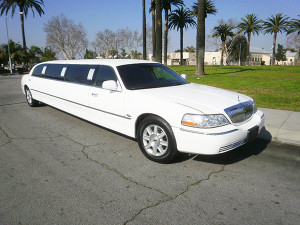 white limousine transportation rentals